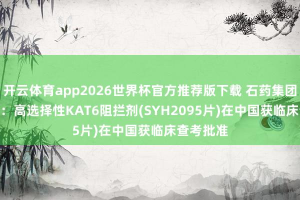 开云体育app2026世界杯官方推荐版下载 石药集团(01093)：高选择性KAT6阻拦剂(SYH2095片)在中国获临床查考批准