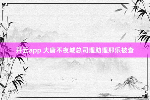 开云app 大唐不夜城总司理助理邢乐被查