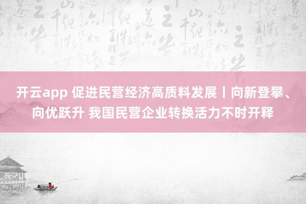 开云app 促进民营经济高质料发展丨向新登攀、向优跃升 我国民营企业转换活力不时开释