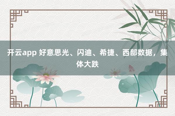开云app 好意思光、闪迪、希捷、西部数据，集体大跌