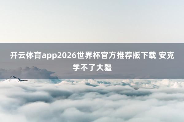 开云体育app2026世界杯官方推荐版下载 安克学不了大疆