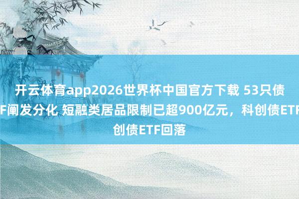 开云体育app2026世界杯中国官方下载 53只债券ETF阐发分化 短融类居品限制已超900亿元，科创债ETF回落