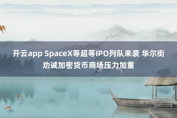 开云app SpaceX等超等IPO列队来袭 华尔街劝诫加密货币商场压力加重