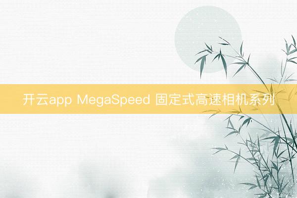 开云app MegaSpeed 固定式高速相机系列